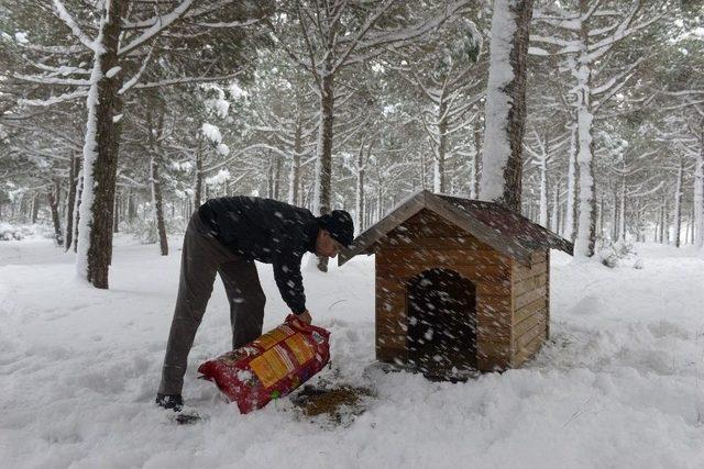 Maltepe’de 4 Yılda 45 Bin Sokak Hayvanı Tedavi Edildi