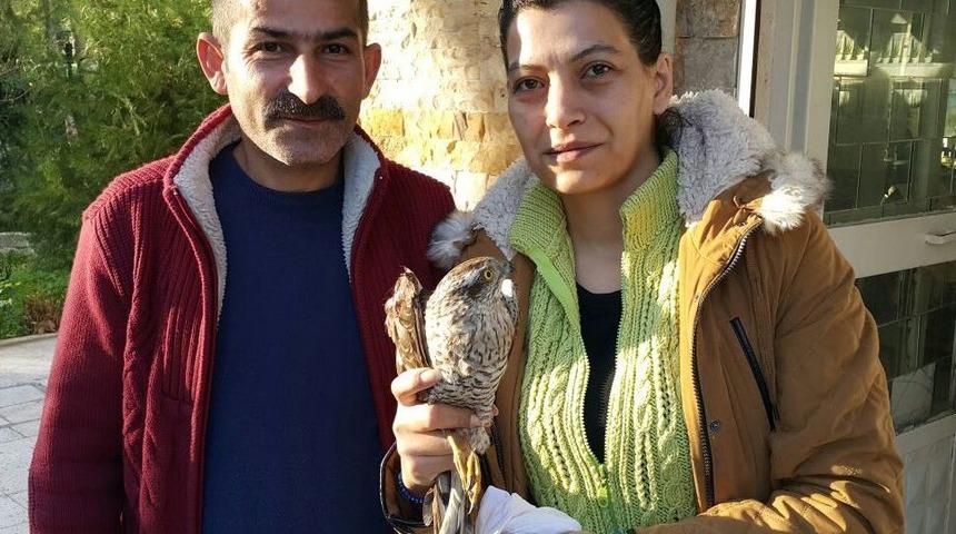 Ateşli Silahla Yaralanan Atmaca Tedaviye Alındı