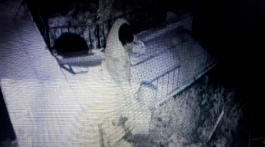 &Ccedil;aldığı &Ccedil;&ouml;p Kovasının İ&ccedil;indeki &Ccedil;&ouml;pleri, İş Yerinin Bah&ccedil;esine D&ouml;kt&uuml;