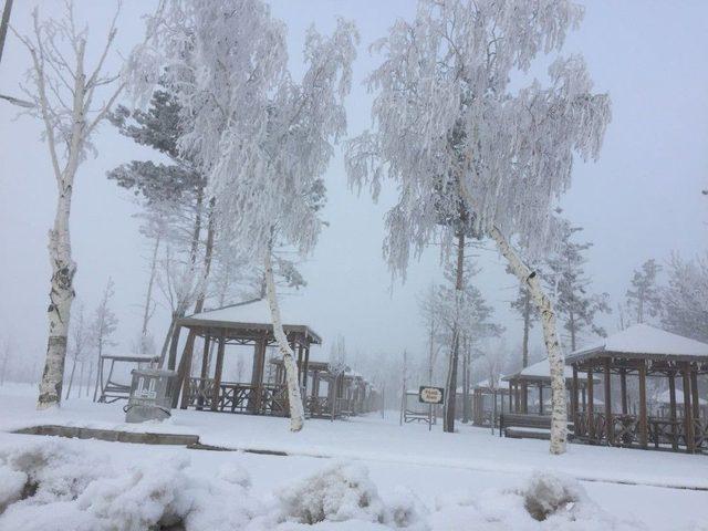 Erzurum Buz Kesti