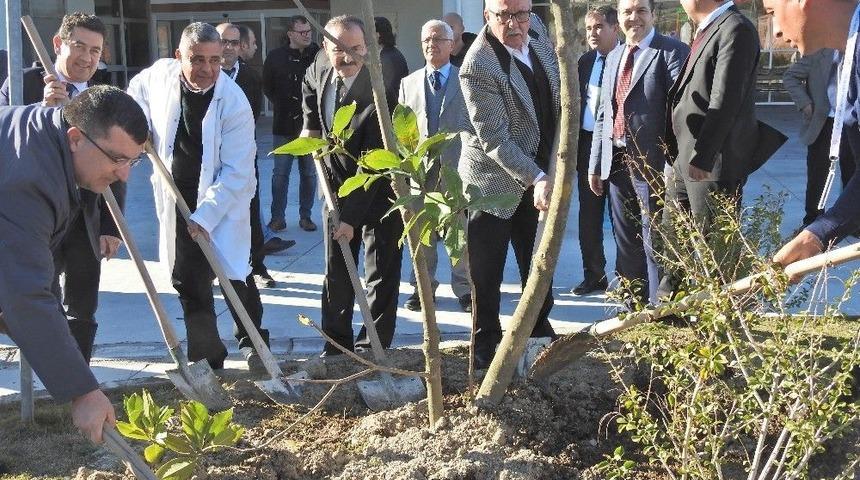 &Ccedil;eşme&rsquo;de Hastane Bah&ccedil;esi Yeşillendirildi