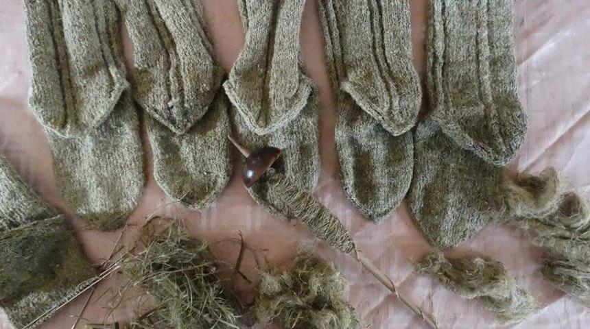 Isırgan Otu Ekonomiye Kazandırılıyor