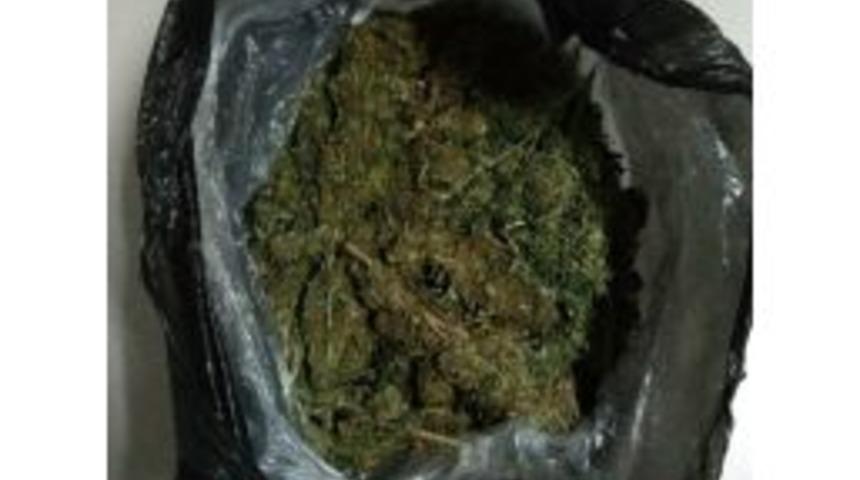 &rsquo;molly&rsquo; Zehir Tacirlerine G&ouml;z A&ccedil;tırmıyor