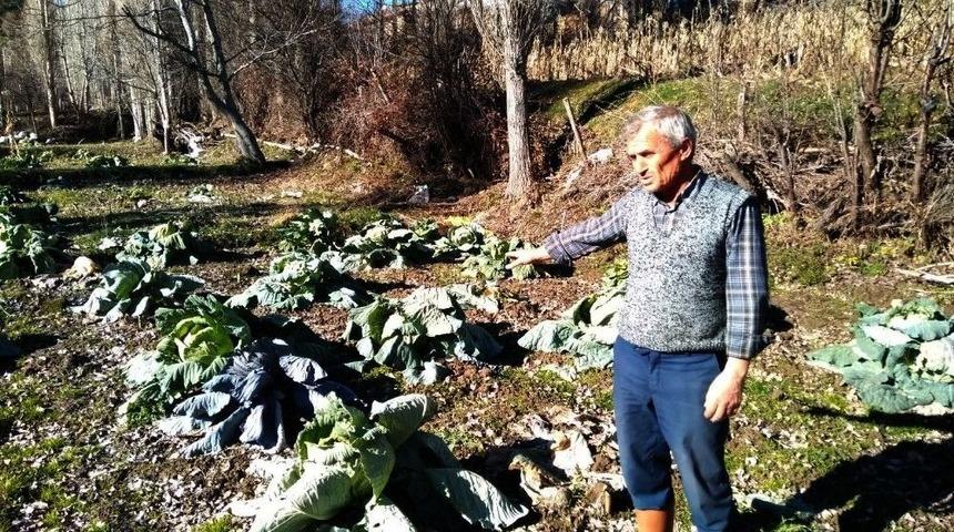 Vatandaşlardan Deski&rsquo;ye &lsquo;k&ouml;t&uuml; Koku&rsquo; Tepkisi