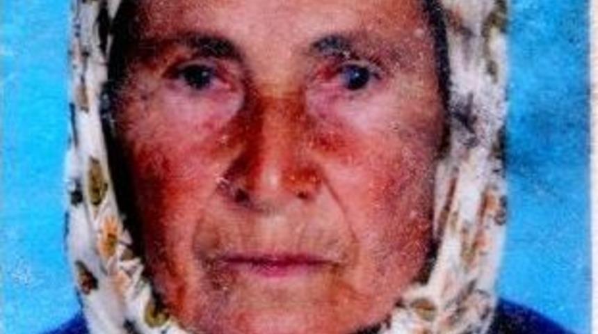 Zeytin Toplarken Sırra Kadem Basan Annesini 70 G&uuml;nd&uuml;r Arıyor