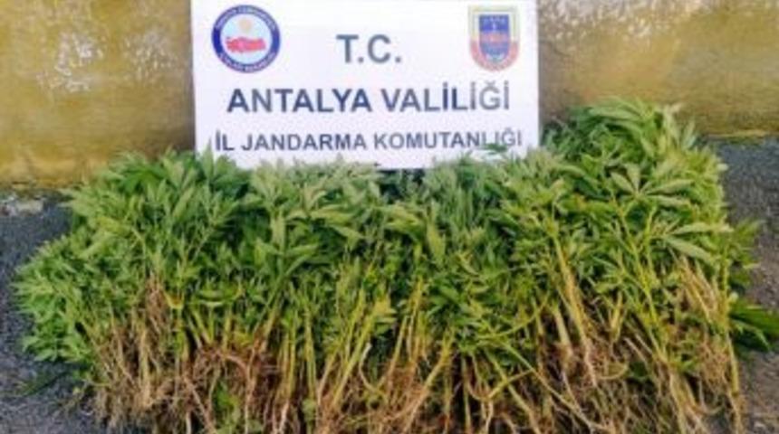 Antalya&rsquo;da Uyuşturucu Operasyonu