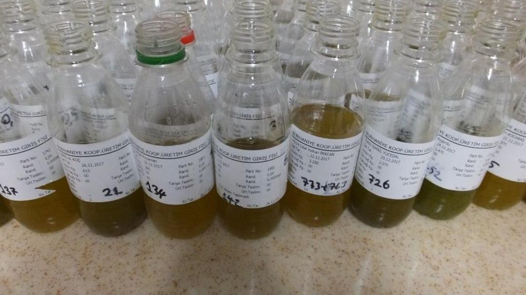 Zeytinyağında Bereket Ve Kalite Yılı