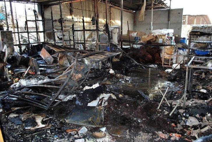 Manisa’da Yangın 2 İş Yerini Kül Etti G4