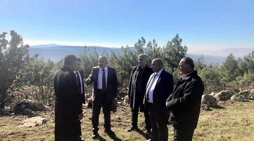 Bal Ormanı Kuruluyor