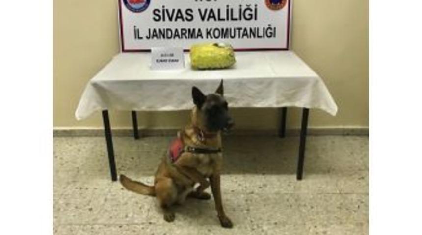 &lsquo;atik&rsquo; Uyuşturucuya Ge&ccedil;it Vermedi