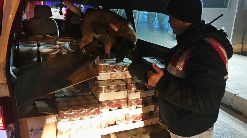 Jandarma Dedekt&ouml;r K&ouml;pekler İş Başında