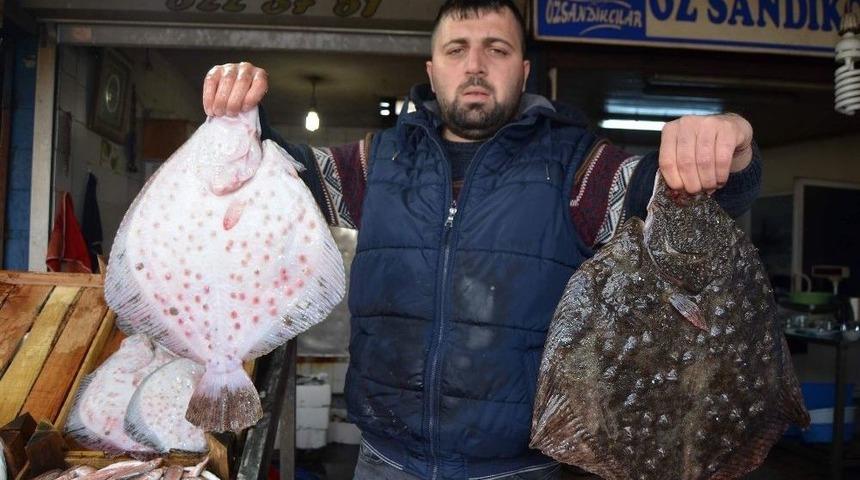 Kalkan&rsquo;ın Fiyatı Altınla Yarışıyor