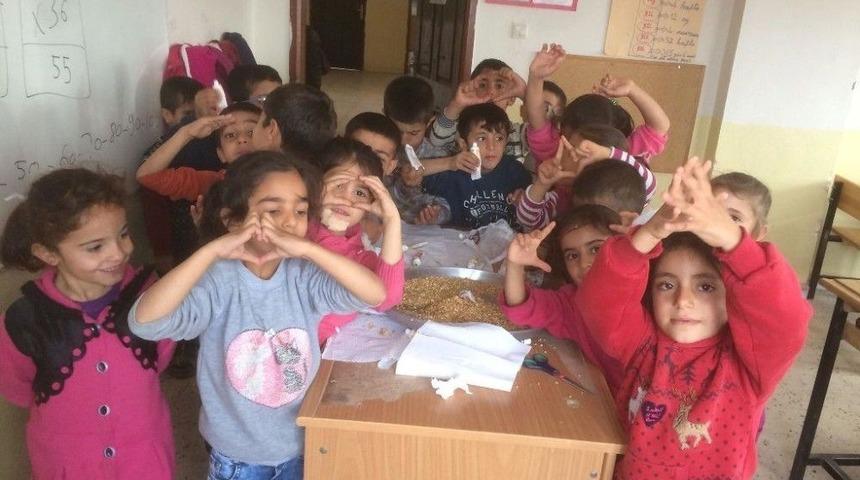 Şırnak&rsquo;ta &Ouml;ğrenciler, Hayvanlar Yuva Yapıp Yiyecek Bıraktı