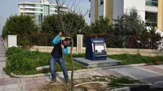 Yunusemre’de 1 Milyon Fidan Toprakla Buluşuyor