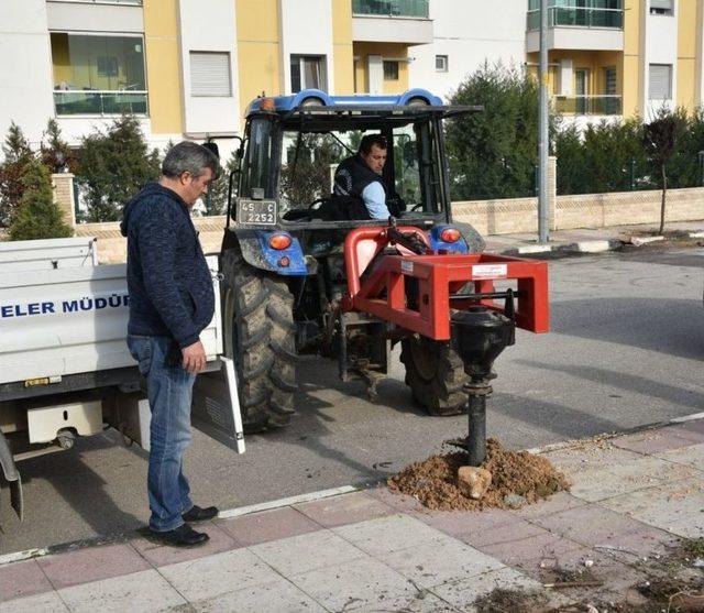 Yunusemre’de 1 Milyon Fidan Toprakla Buluşuyor