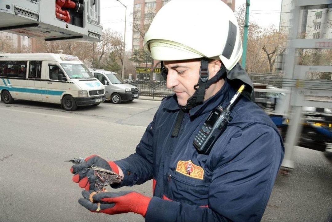 İtfaiyeden Yaralı Kuş Kurtarma Operasyonu