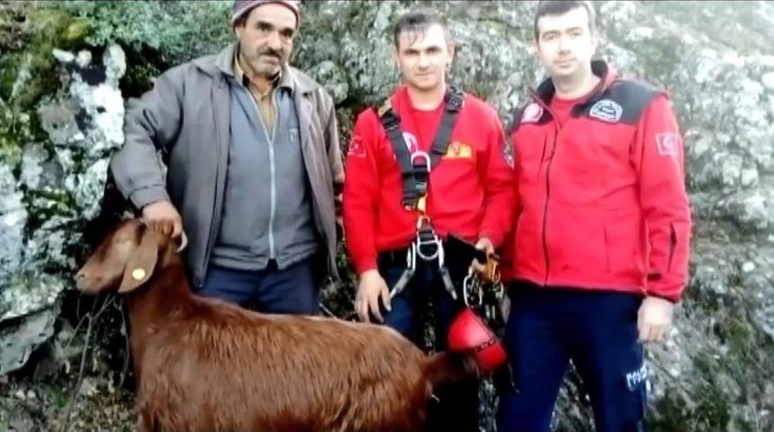 Kayalıklardan Düşen Keçileri İtfaiye Kurtardı