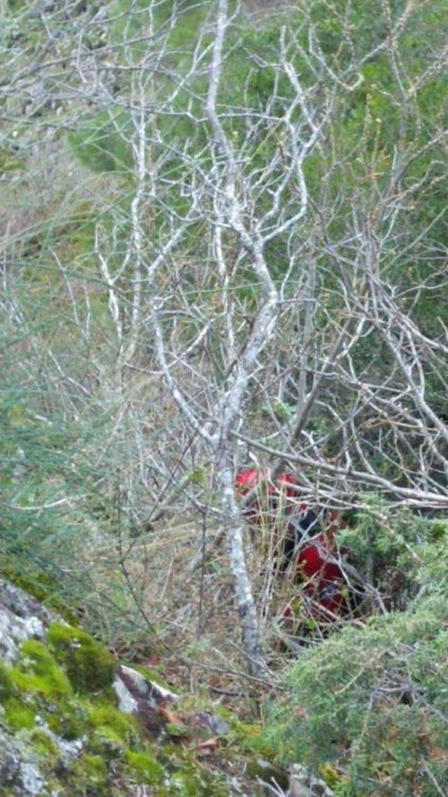 Kayalıklardan Düşen Keçileri İtfaiye Kurtardı