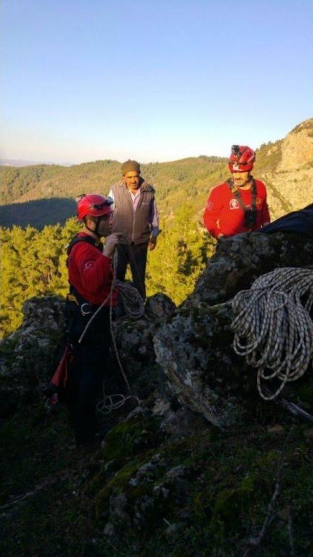 Kayalıklardan Düşen Keçileri İtfaiye Kurtardı