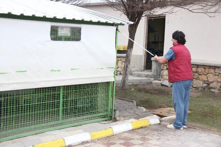 Sıcak Yuva Bekliyorlar G1