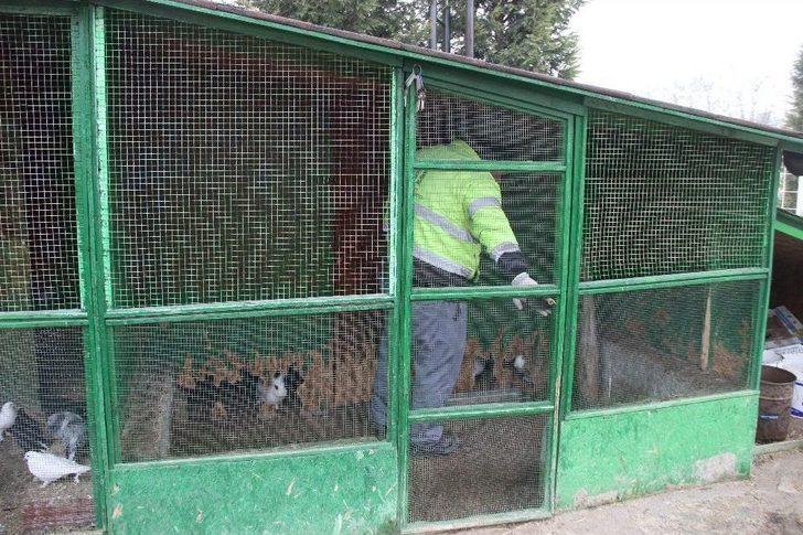 Sıcak Yuva Bekliyorlar G4