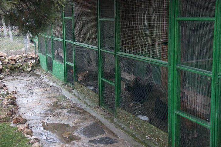 Sıcak Yuva Bekliyorlar G5