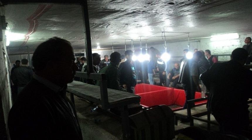 Aydın&rsquo;da Horoz D&ouml;v&uuml;şt&uuml;renlere Ceza Yağdı