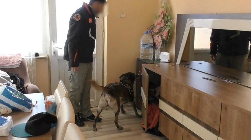 Zehir Tacirlerinin Kara Sermayesi Tora&rsquo;ya Takıldı