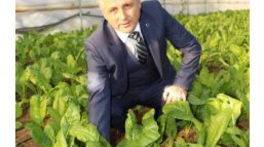 Pehlivan: "t&uuml;rkiye&rsquo;de Ziraat M&uuml;hendislerinin Y&uuml;zde 25&rsquo;i İşsiz"