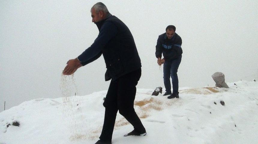 Yabani Hayvanlar Unutulmadı
