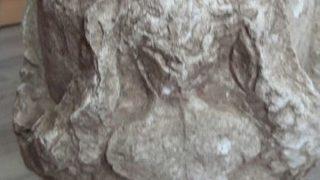 Isparta’da Okul Müdürü Tarihi Eser Buldu