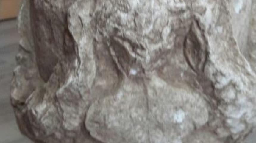 Isparta&rsquo;da Okul M&uuml;d&uuml;r&uuml; Tarihi Eser Buldu