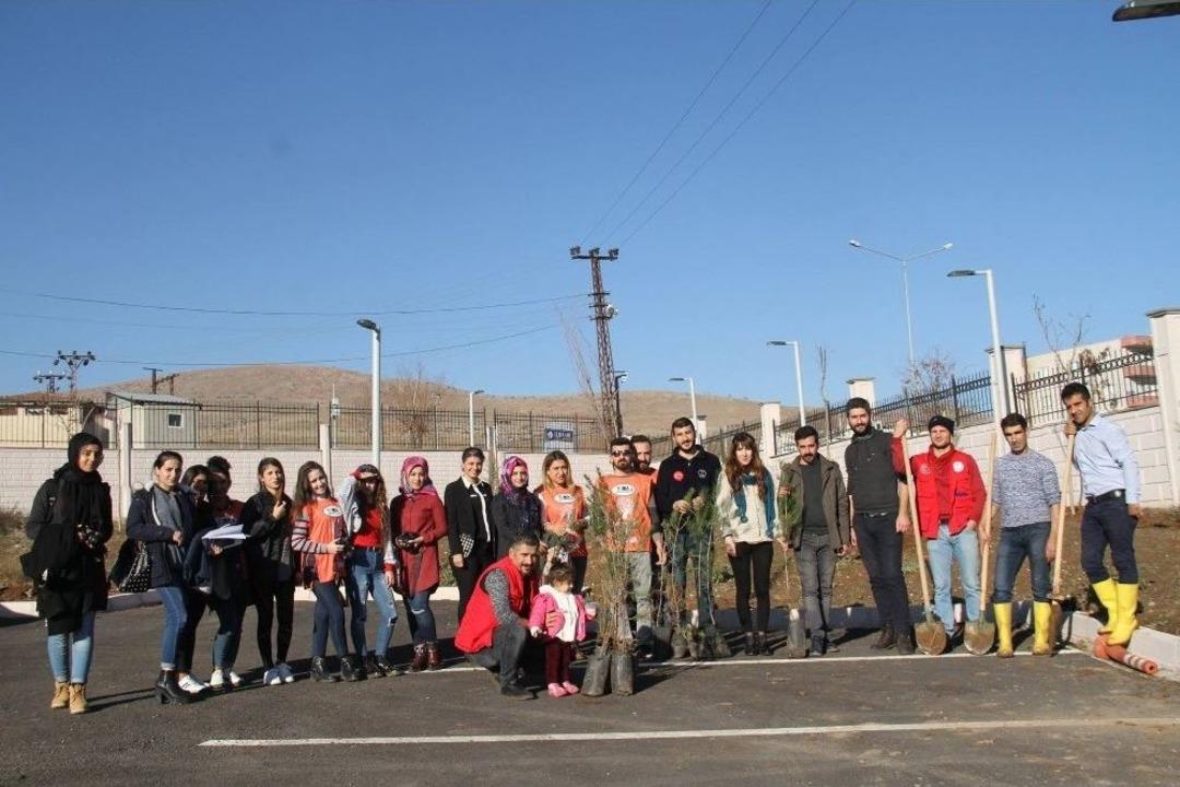 Tema Vakfı, Kurum Bah&ccedil;elerine Fidan Dikti