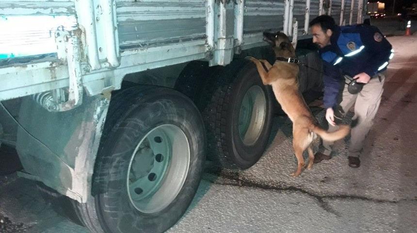 "tiryaki" Ka&ccedil;ak Sigaraya Ge&ccedil;it Vermiyor