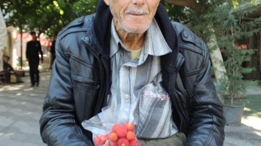Dağ Çilekleri Yiyenlere Şifa, Toplayanlara Ekmek Oluyor