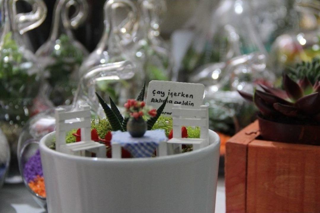 Romantiklerin Yeni Tercihi &rsquo;kakt&uuml;s Teraryum Saksısı&rsquo;