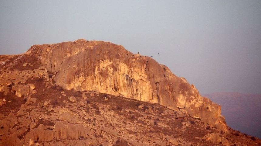 Van G&ouml;l&uuml; Havzası&rsquo;nda Sulama Ve İ&ccedil;me Suyu Tehlikesi