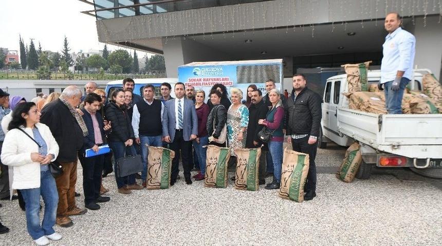 &Ccedil;ukurova Belediyesi&rsquo;nden Kedilere Her Ay Mama