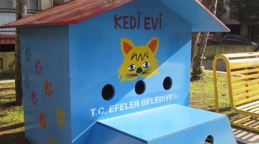 Efeler Belediyesi&rsquo;nden Sokak Kedilerine Sıcak Yuva