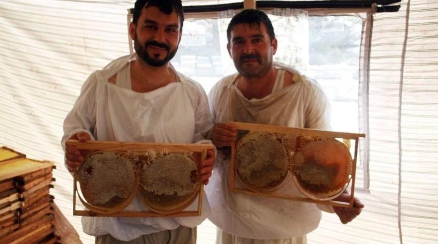 Balder Başkanı &Ccedil;alca&rsquo;dan A&ccedil;ıklama: Balın Aracı Olamadan T&uuml;keticiye Ulaşmasını Arzuluyoruz