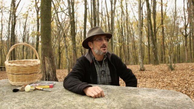 Mantarın yararları nelerdir?