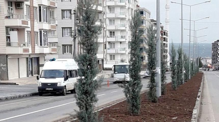 Batman&rsquo;da Yeşil Alanlar &Ccedil;oğaltılıyor