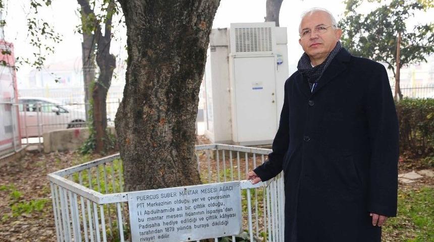 Sultan Abd&uuml;lhamid Han&rsquo;ın Ağacı Projeyi Değiştirdi