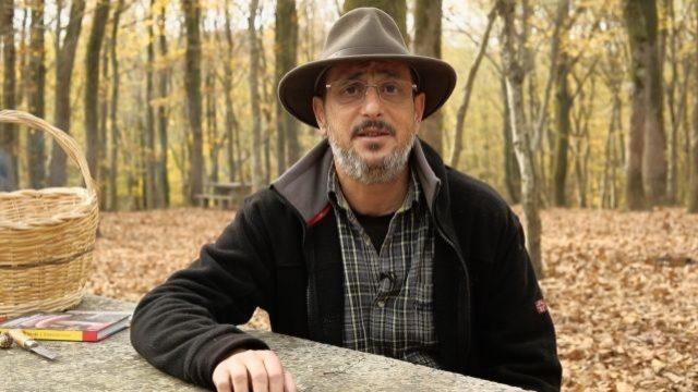 Mantar zehirlenmelerinin belirtileri nelerdir?