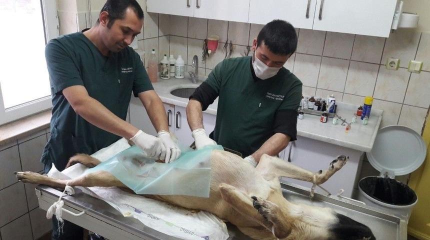 Orman Su İşleri B&ouml;lge M&uuml;d&uuml;rl&uuml;ğ&uuml;nden Odunpazarı Belediyesine Destek