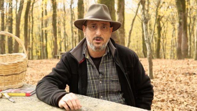 Mantarın zehirli ya da zehirsiz olduğu anlaşılabilir mi?