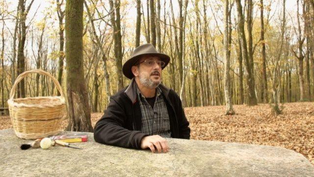 Her mantar türü yetiştirilebilir mi?