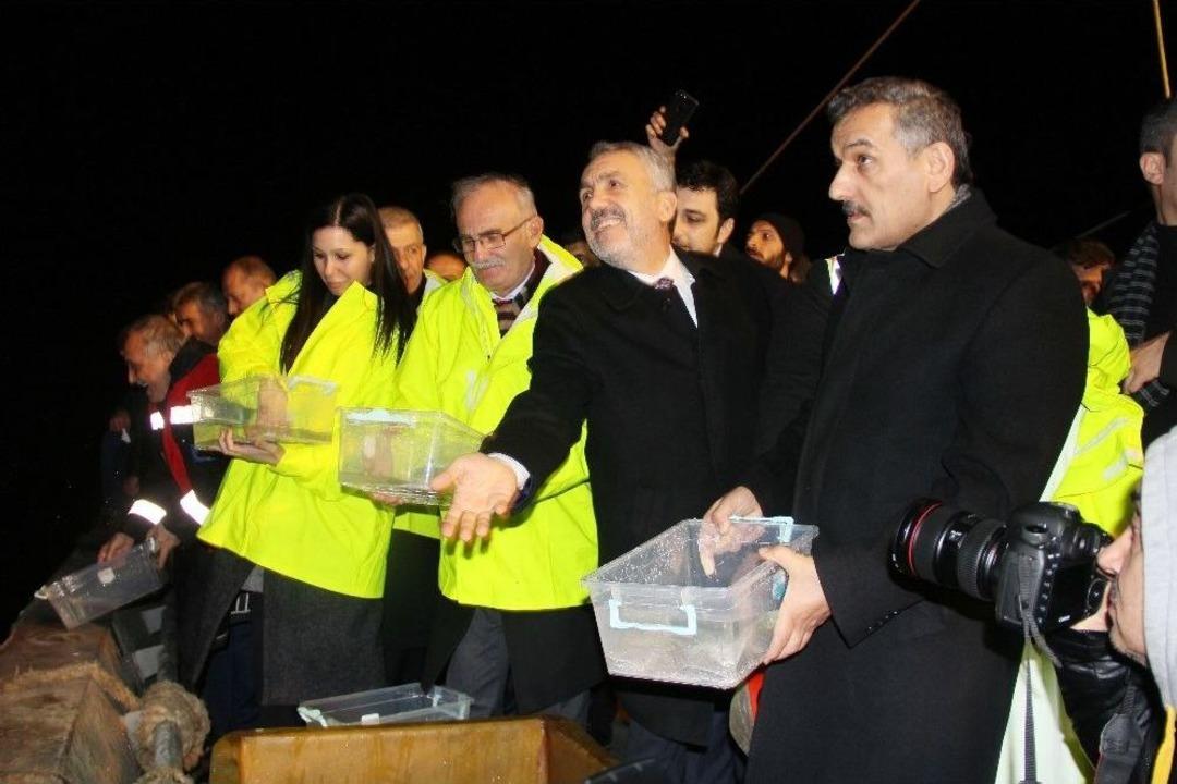 Bakan Demircan Ve Fakıbaba Denize Kalkan Yavrusu Bıraktı