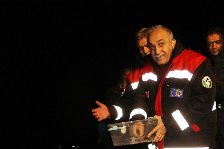 Bakan Demircan Ve Fakıbaba Denize Kalkan Yavrusu Bıraktı G1