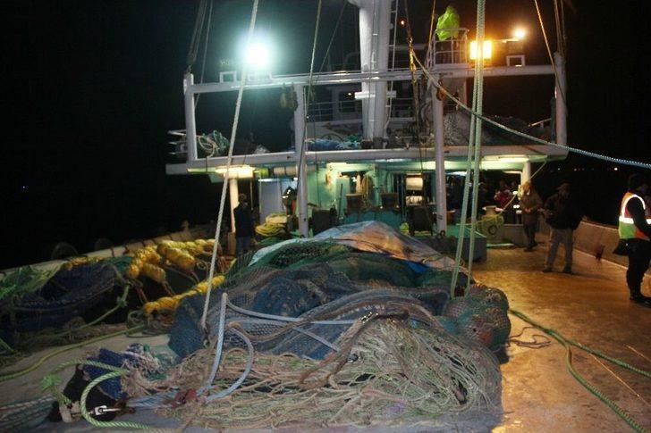 Bakan Demircan Ve Fakıbaba Denize Kalkan Yavrusu Bıraktı G4